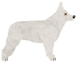 Ravenskeep Promise Me Girl — “Zara”