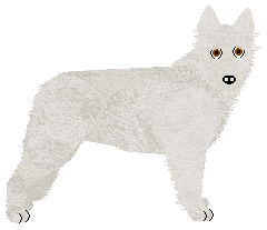 Profile image of Ravenskeep Promise Me Girl