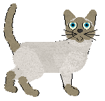 Nightwish Long Spring — “Moree”