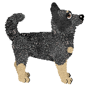 Fleetrun Tasmanian Devil — “Taz”