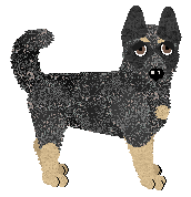 Profile image of Fleetrun Tasmanian Devil