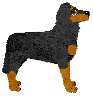 Fleetrun Not Too Fast — “Swift”