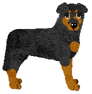 Profile image of Fleetrun Not Too Fast