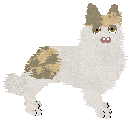 Profile image of Crystal Rose's Garden Paradise of Wonder Light at Tanglewood