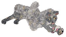 Moth's Rising Storm — “Auburn”