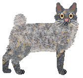 Profile image of Moth's Rising Storm