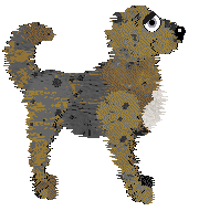 King's Luxury Resort and Casino at SzK — “Wynn”