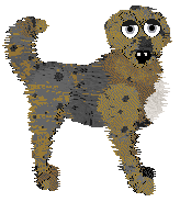 King's Luxury Resort and Casino at SzK — “Wynn”