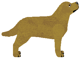 Blizzard HIDDEN PRECIOUS — “Marian”