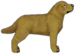 Profile image of Blizzard HIDDEN PRECIOUS