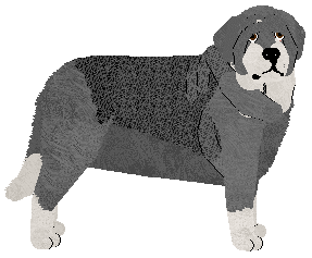 Dulce's Una Paloma Blanca — “Paloma”