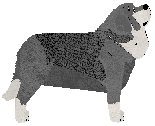 Profile image of Dulce's Una Paloma Blanca