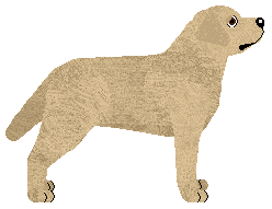 Blizzard KILLING MACHINE — “Ravi”