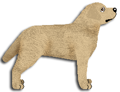 Profile image of Blizzard KILLING MACHINE