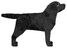 Blizzard BLACK HEARTED BEAST — “Diana”