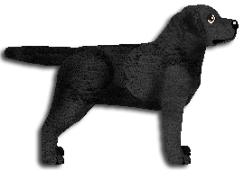 Profile image of Blizzard BLACK HEARTED BEAST