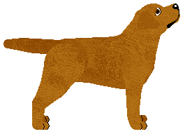 Blizzard TOSCA — “Rudy”