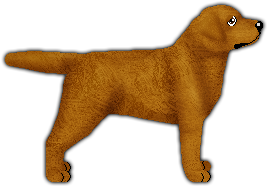 Profile image of Blizzard TOSCA