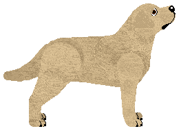 Blizzard MOLO CREMOLLO — “Glizda”