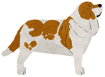 Dulce's King Director — “Gorka”