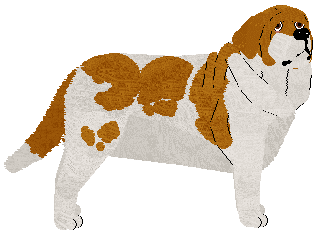 Dulce's King Director — “Gorka”