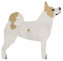 Blizzard Ragnarok — “Ragnar”