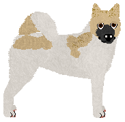 Blizzard Rare Opportunity — “Rare”