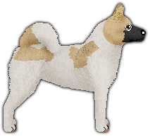 Profile image of Blizzard Rare Opportunity