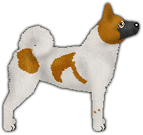 Profile image of Blizzard Howling around my happy place