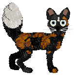 Sour Malt Soda — “Dutch”