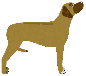 Blizzard DANCING WITH LIONS — “Zhara”