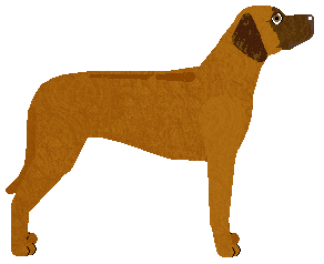 Filigree's SHAR'DAMA KA — “Jardir”