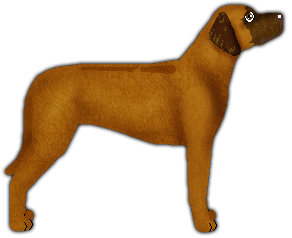 Profile image of Filigree's SHAR'DAMA KA