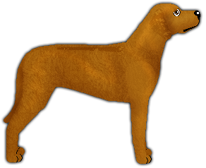 Profile image of Blizzard HEART OF EGYPT