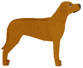 Blizzard HEART OF EGYPT — “Nilla”