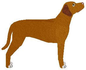 Blizzard WHEN THE SUN GOES DOWN — “Phair”