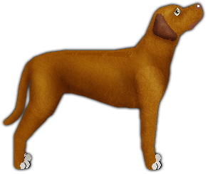 Profile image of Blizzard WHEN THE SUN GOES DOWN