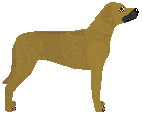 Blizzard Fleet Gazelle — “Gaza”