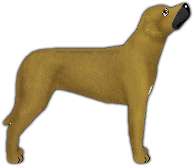 Profile image of Blizzard Fleet Gazelle