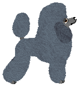 Sautillé Sparkling Quasar — “Szurka”