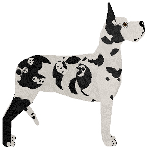 Blizzard WIATR Z ZACHODU — “Zephyr”