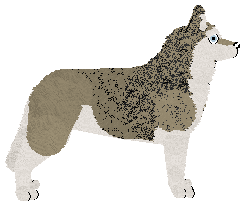 Blizzard Sounds Right... — “Barnabas”