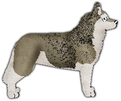 Profile image of Blizzard Sounds Right...