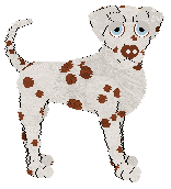 Sz's I May Not Love You, But I Do Love You — “Shiv”