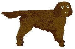 Profile image of Geriatrix Litter Tray Raider