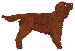 Geriatrix Forbidden Nuggets — “Mick”