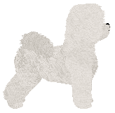 Sentinel Now Or Never — “Nika”