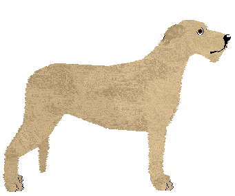 Benknota's Red Red Wine — “Carol”