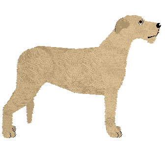 Benknota's Red Red Wine — “Carol”