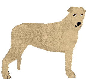 Profile image of Benknota's Red Red Wine